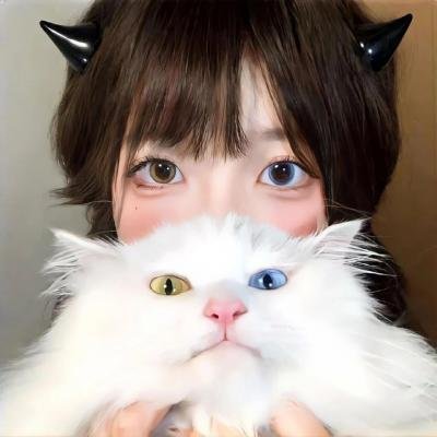 鳄鱼藏尸日记